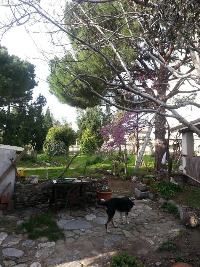 Ecer Pansiyon Kusadasi Exterior photo